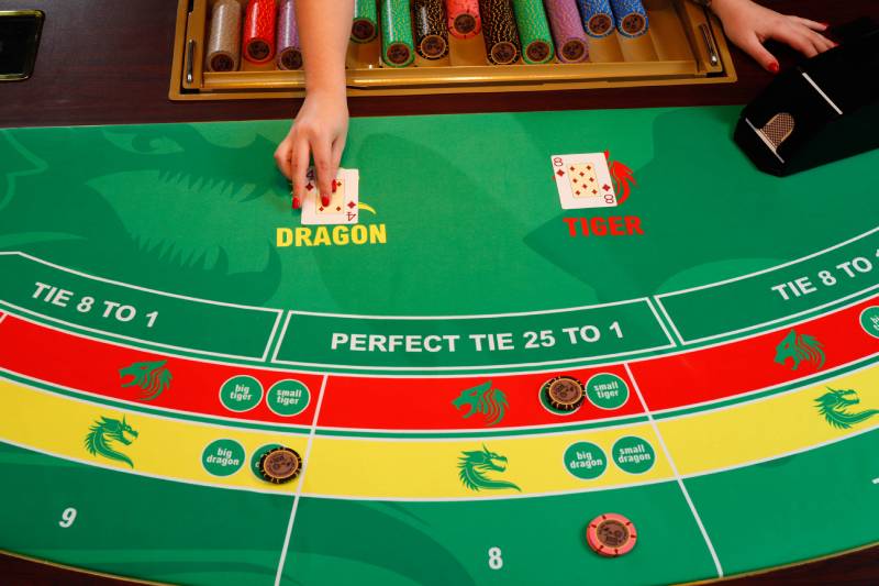 Rồng Hổ là gì?